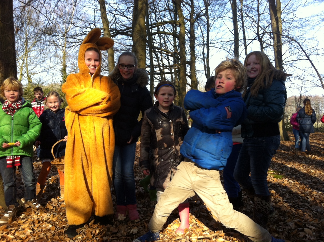 Zoeken in het bos